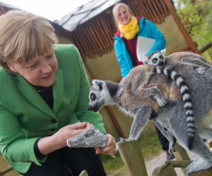 Merkel obsiadły papugi