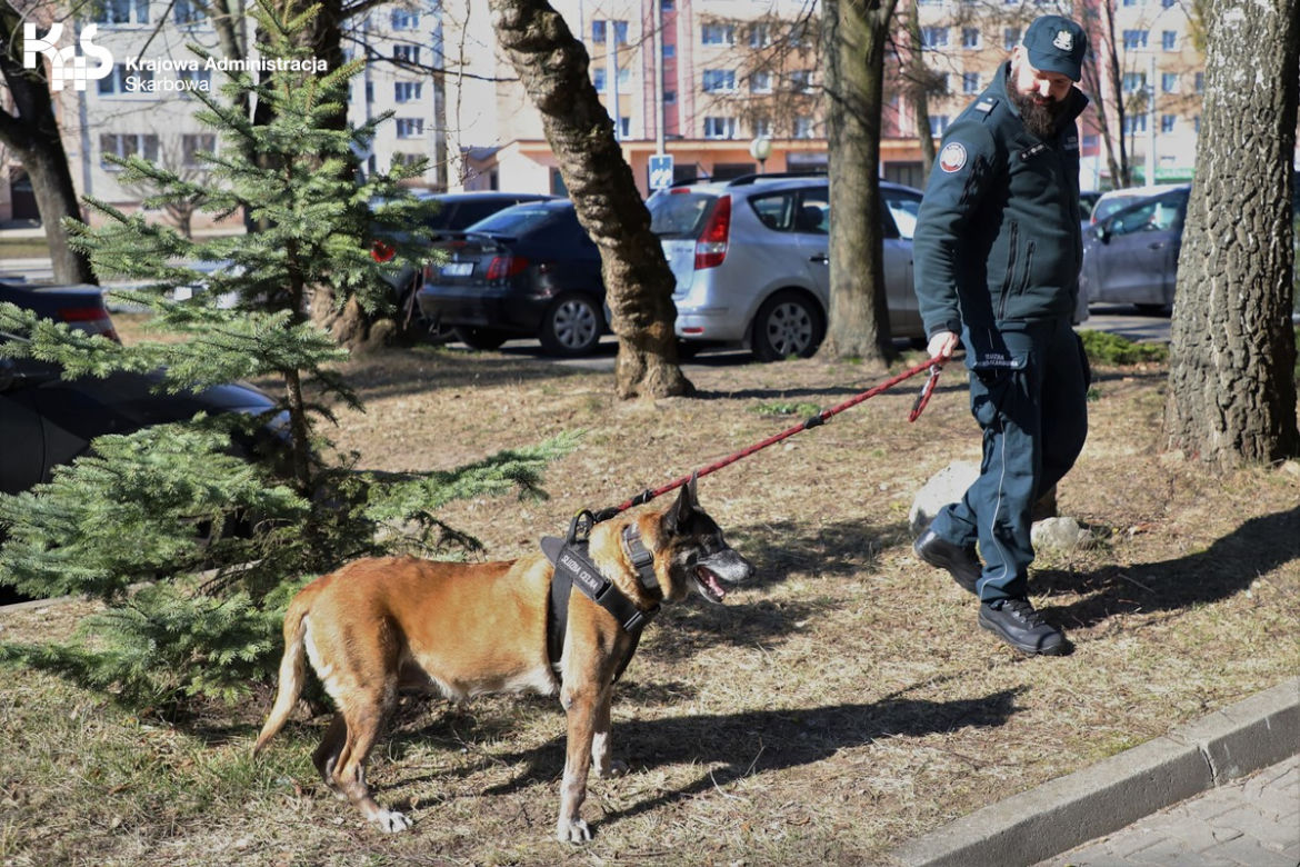 Emerytura po 10 latach służby. Agis i Cora już nie pracują w olsztyńskiej skarbówce [ZDJĘCIA]