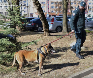 Emerytura po 10 latach służby. Agis i Cora już nie pracują w olsztyńskiej skarbówce [ZDJĘCIA]