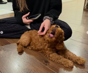 Sebastian Fabijański z pieskiem