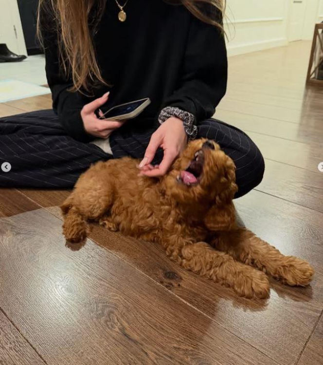 Sebastian Fabijański z pieskiem