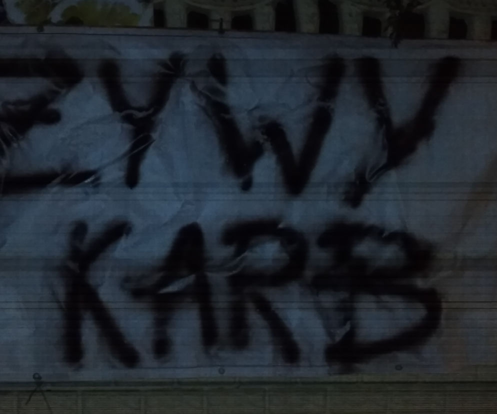 Nowy gatunek ryby na Wigilię 2021?! Żywy karb w Gostyninie [ZDJĘCIA]