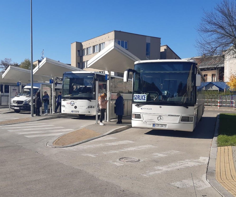 Będą kolejne nowe linie autobusowe w regionie. Są rządowe pieniądze na takie połączenia
