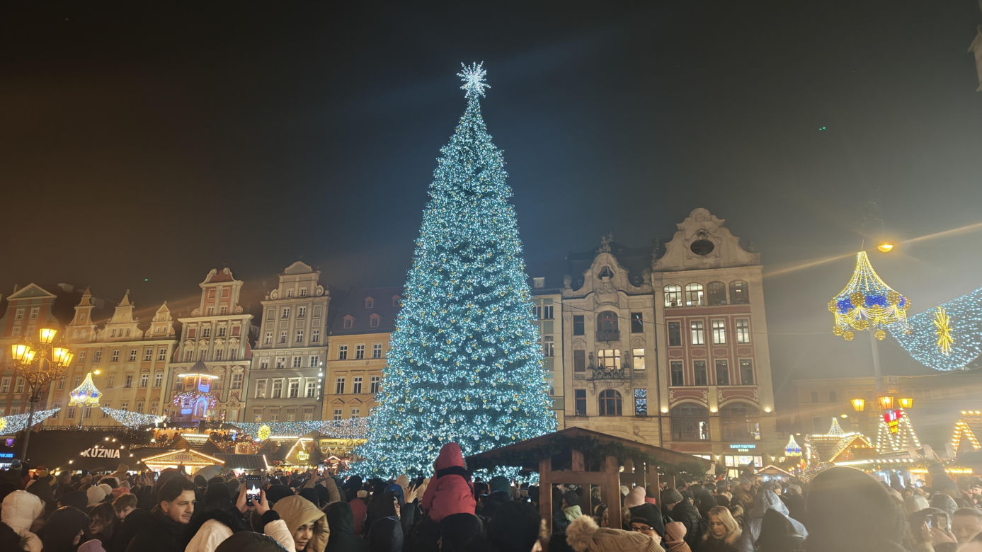 Największa choinka we Wrocławiu już rozświetlona! Tłumy powitały Świętego Mikołaja 