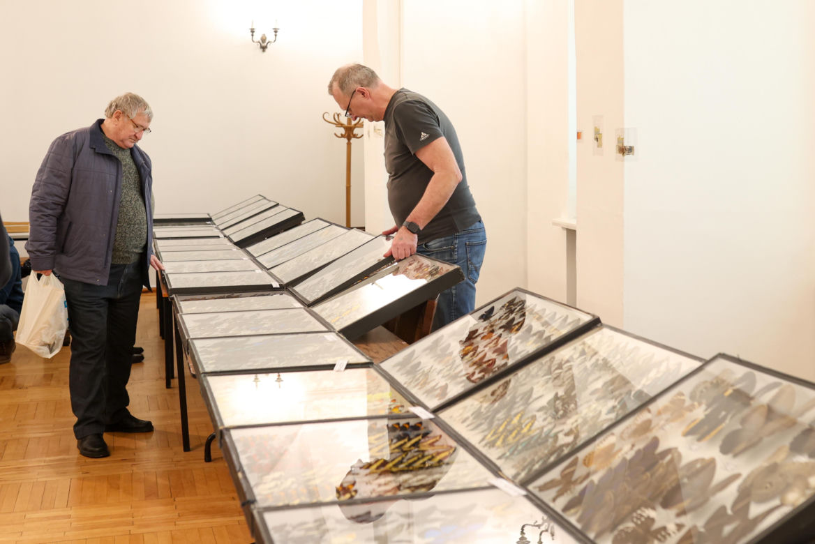 I Międzynarodowy Dzień Wymiany Owadów i Targi Entomologiczne w Bytomiu