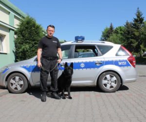 Dwa nowe psy w szczecińskiej policji