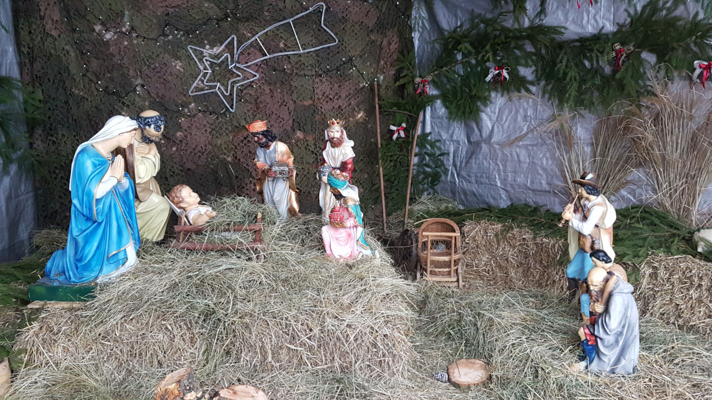 ZOO Toruń zaprasza!