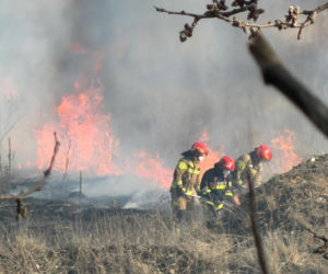 Mazowsze płonie, zaczęło się wypalanie traw