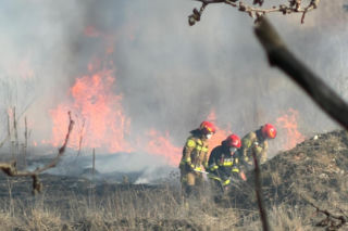 Mazowsze płonie, zaczęło się wypalanie traw