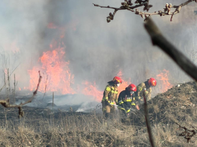 Mazowsze płonie, zaczęło się wypalanie traw