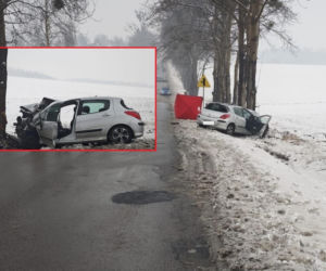 Na prostym odcinku drogi Peugeot uderzył w drzewo. Nie żyje 41-latek