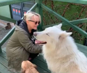 Małgorzata Ostrowska