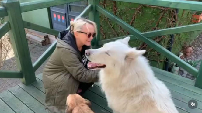 Małgorzata Ostrowska