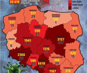 Koronawirus: Zobacz wykresy i prognozy – stan na 22.05 godz. 17.30