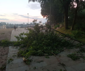 Gwałtowna burza nad Olsztynem - połamane drzewa
