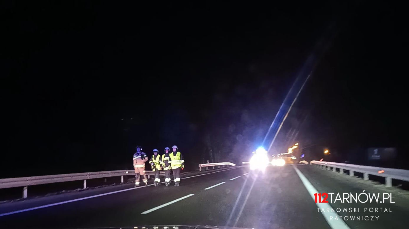 Dębno. Osobówka uderzyła w stado dzików na DK 94