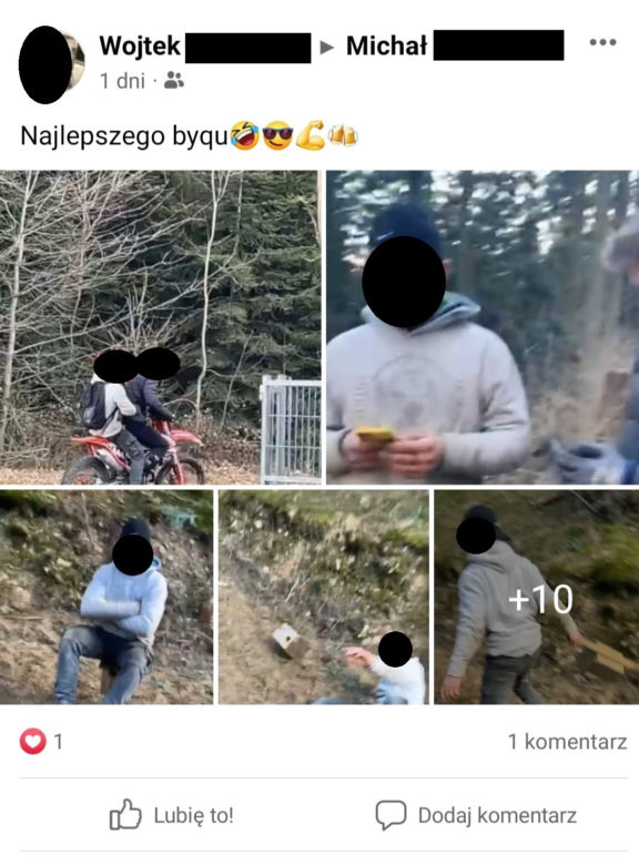 Młodzi ludzie znęcali się nad kotami 