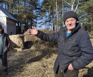 Rolnik z Podlasia bronił swojego bydła. Gdyby nie brat, to by mnie tam zatłukli