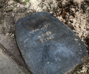 Zabytkowy nagrobek znaleziony w parku w centrum Szczecina