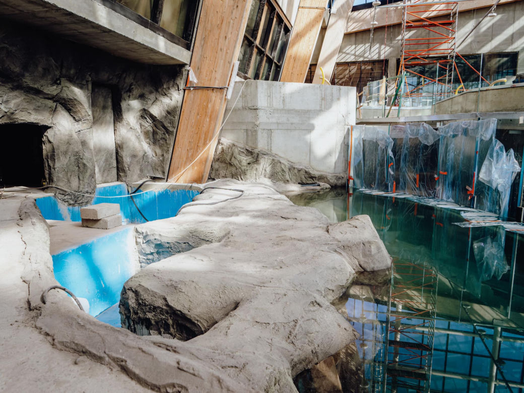 Budowa Egzotarium w Sosnowcu