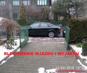 Mistrzowie parkowania z Gliwic