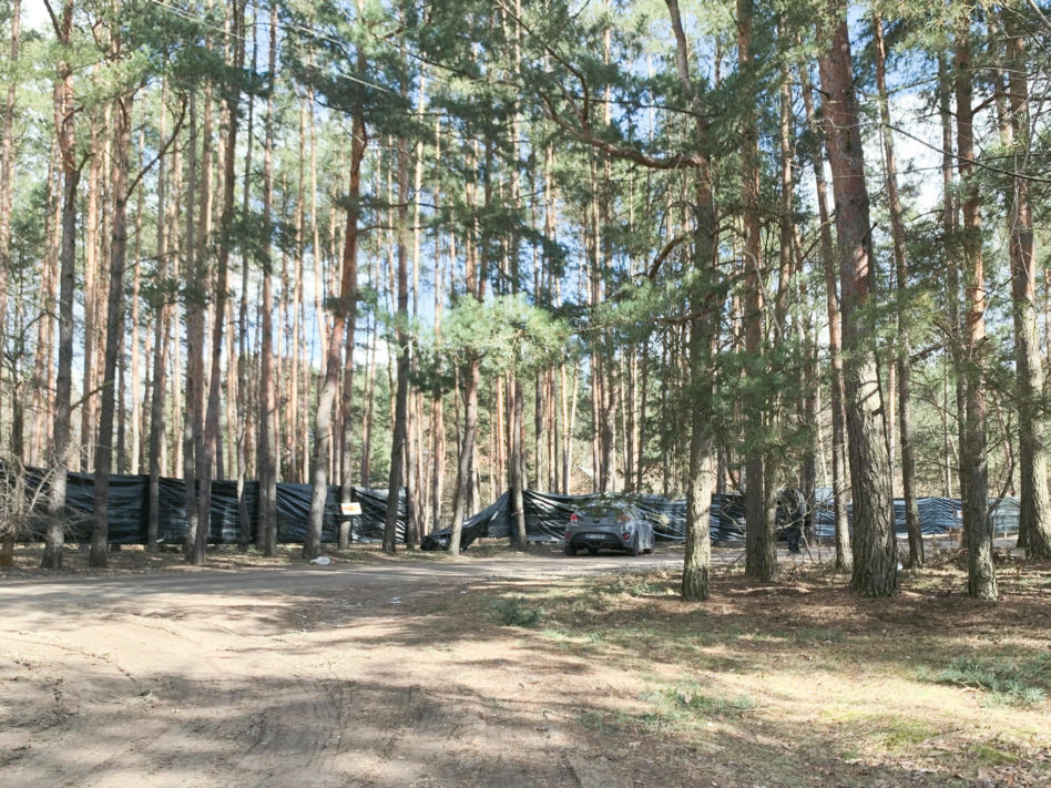 Musiał kupuje tajny las