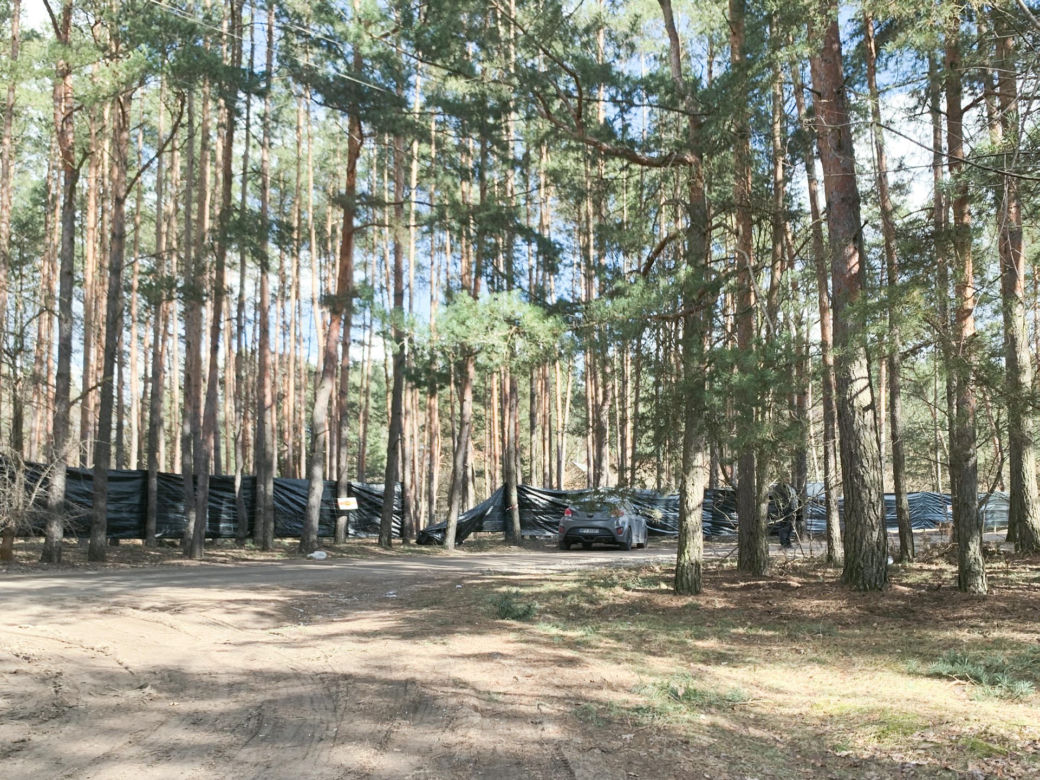 Musiał kupuje tajny las