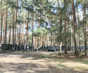 Musiał kupuje tajny las
