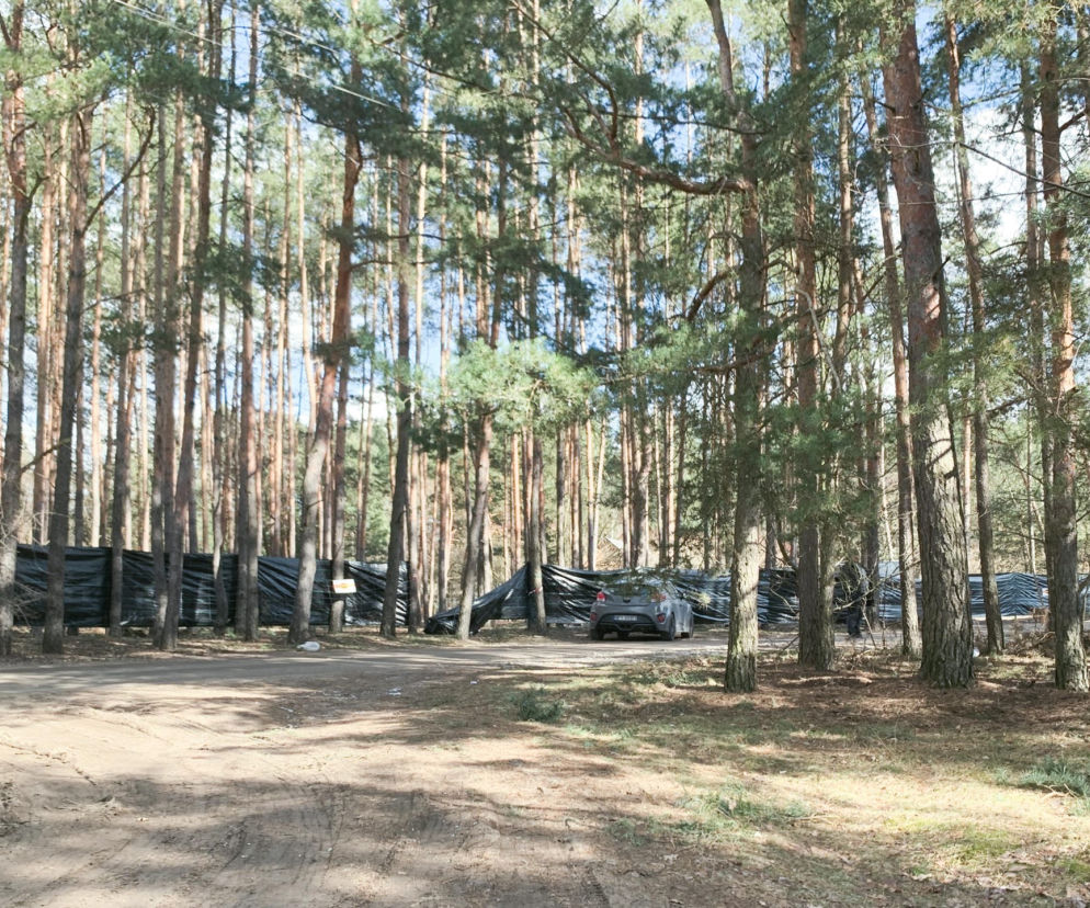 Musiał kupuje tajny las