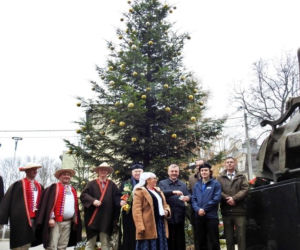 Choinka z Beskidu przed kurią diecezji bielsko- żywieckiej