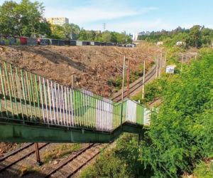 Wycinka drzew na stacji Szczecin Pomorzany
