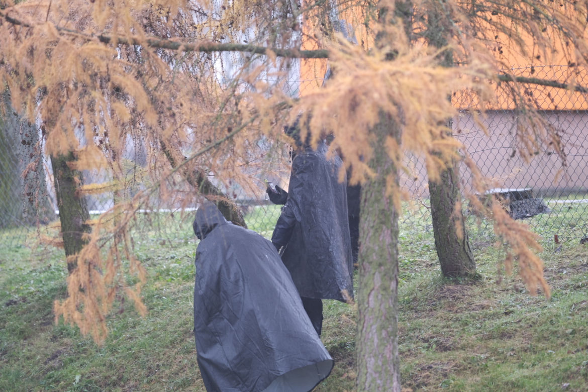 Przewodów. Rakiety spadły na Polskę. Zdjęcia z miejsca zdarzenia 