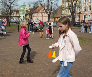 Zające chodzące i z czekolady w centrum Leszna
