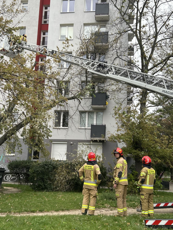 Potworne skutki wichury w Warszawie