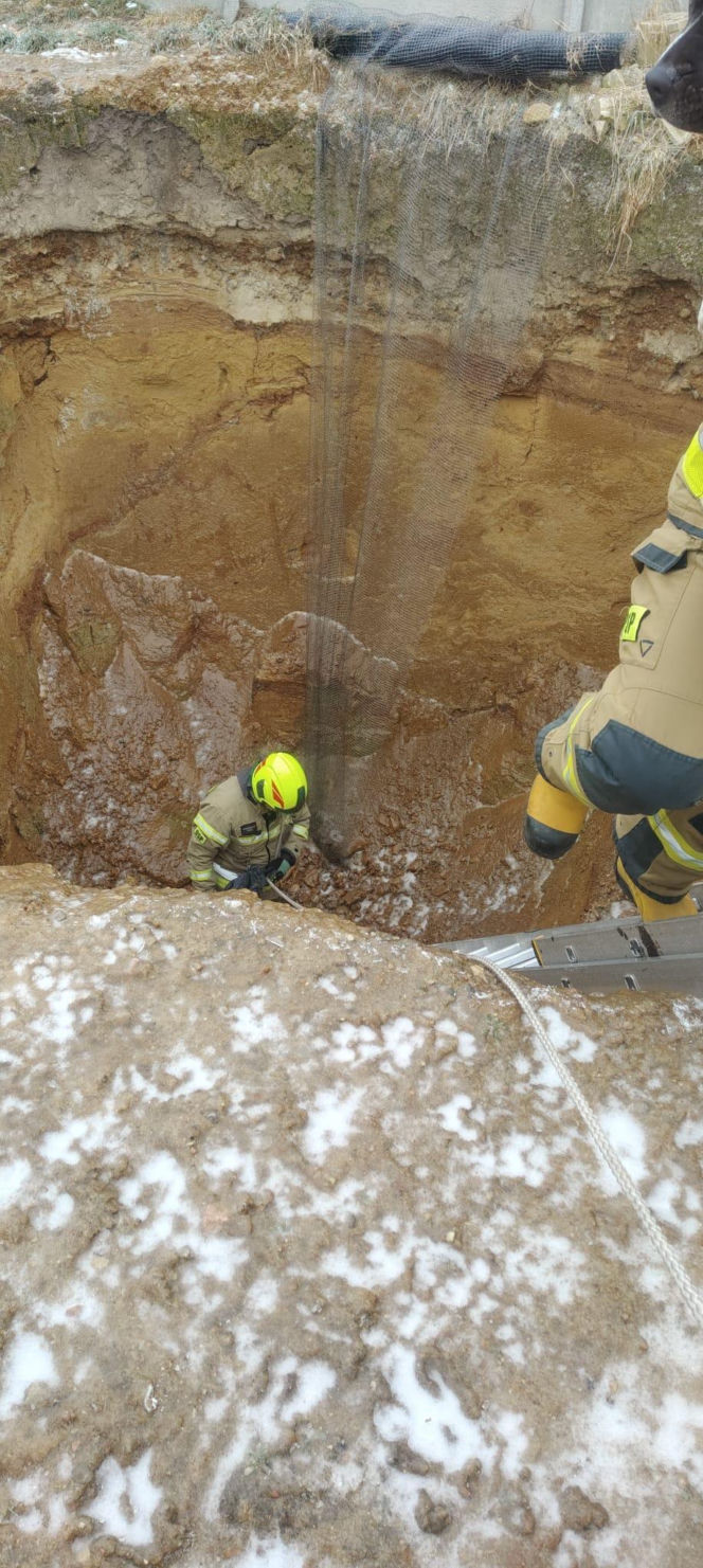 Piesek wpadł do głębokiego wykopu. Bohaterscy strażacy natychmiast ruszyli z pomocą