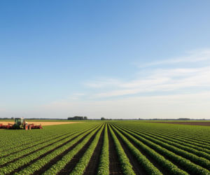 Umowa UE-Mercosur i protesty rolników. Czy unijna decyzja zmieni przyszłość europejskich gospodarstw?