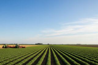 Umowa UE-Mercosur i protesty rolników. Czy unijna decyzja zmieni przyszłość europejskich gospodarstw?