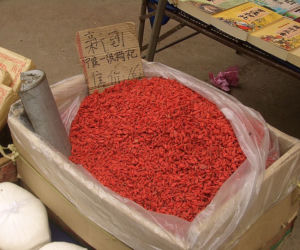 Jagody goji