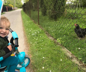 Łańcut. Grób malutkiego Maksia pięknie przybrany na Dzień Dziecka [ZDJĘCIA]