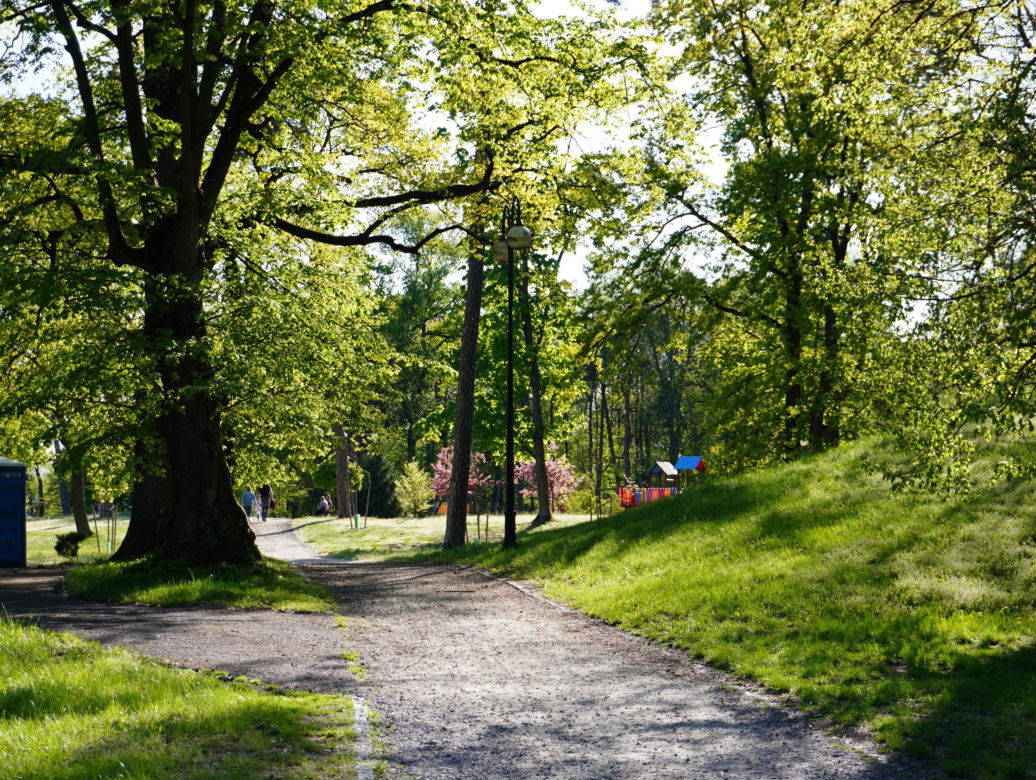 Park miejski w Opolu Lubelskim