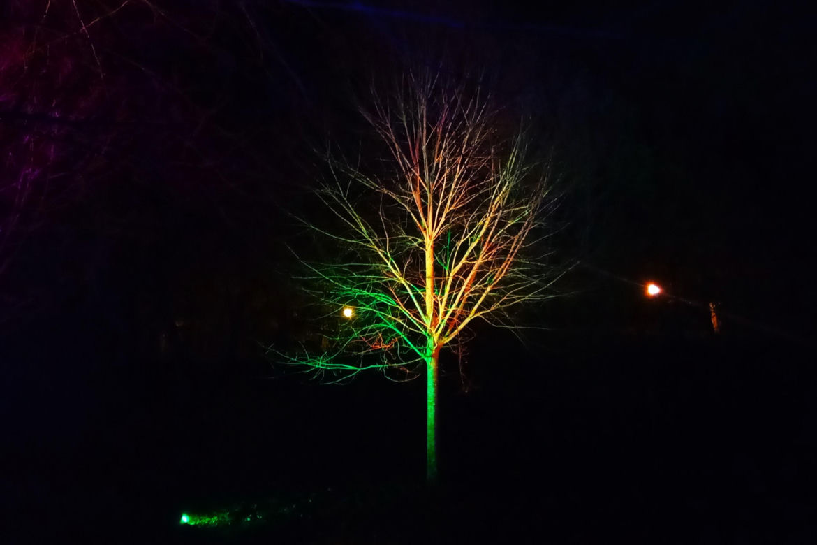 Garden of Lights w Szczecinie