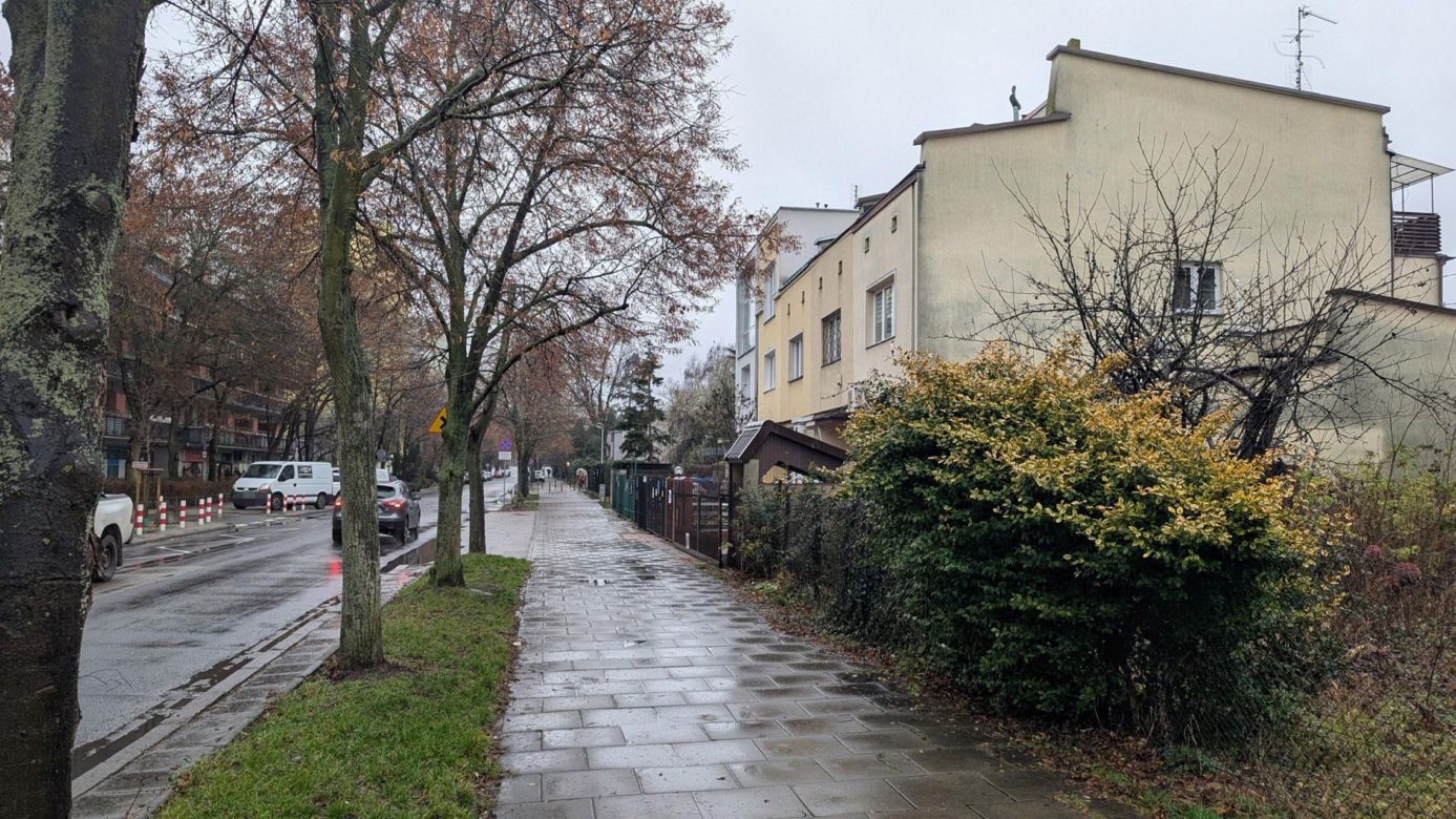 Koty Jarka nas terroryzują