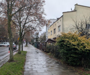 Koty Jarka nas terroryzują