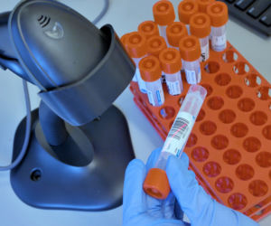 Laboratorium w Sosnowcu: Tu świąteczna radość przeplata się z widmem śmierci