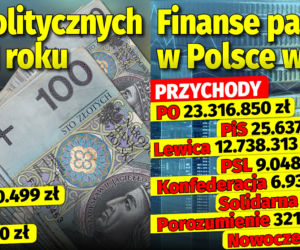 Finanse partii politycznych w Polsce w 2021 roku