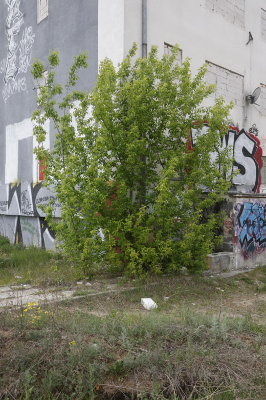 „Czarnobyl” Warszawy zniknie z mapy. „Smród, fetor i grzyb”. Tak wyglądało życie w „13 dzielnicy”