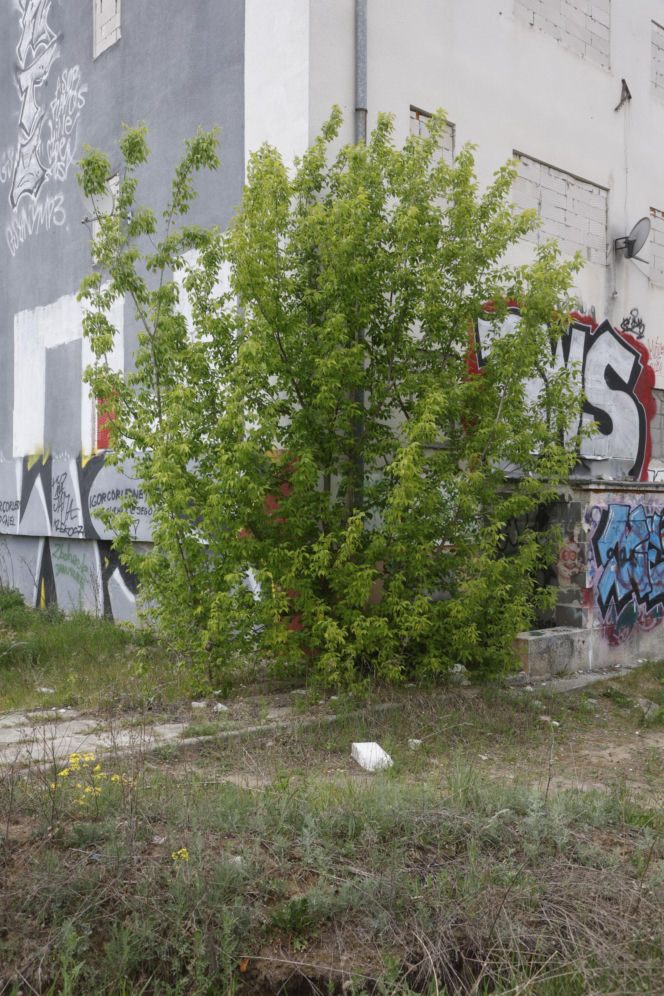 „Czarnobyl” Warszawy zniknie z mapy. „Smród, fetor i grzyb”. Tak wyglądało życie w „13 dzielnicy”