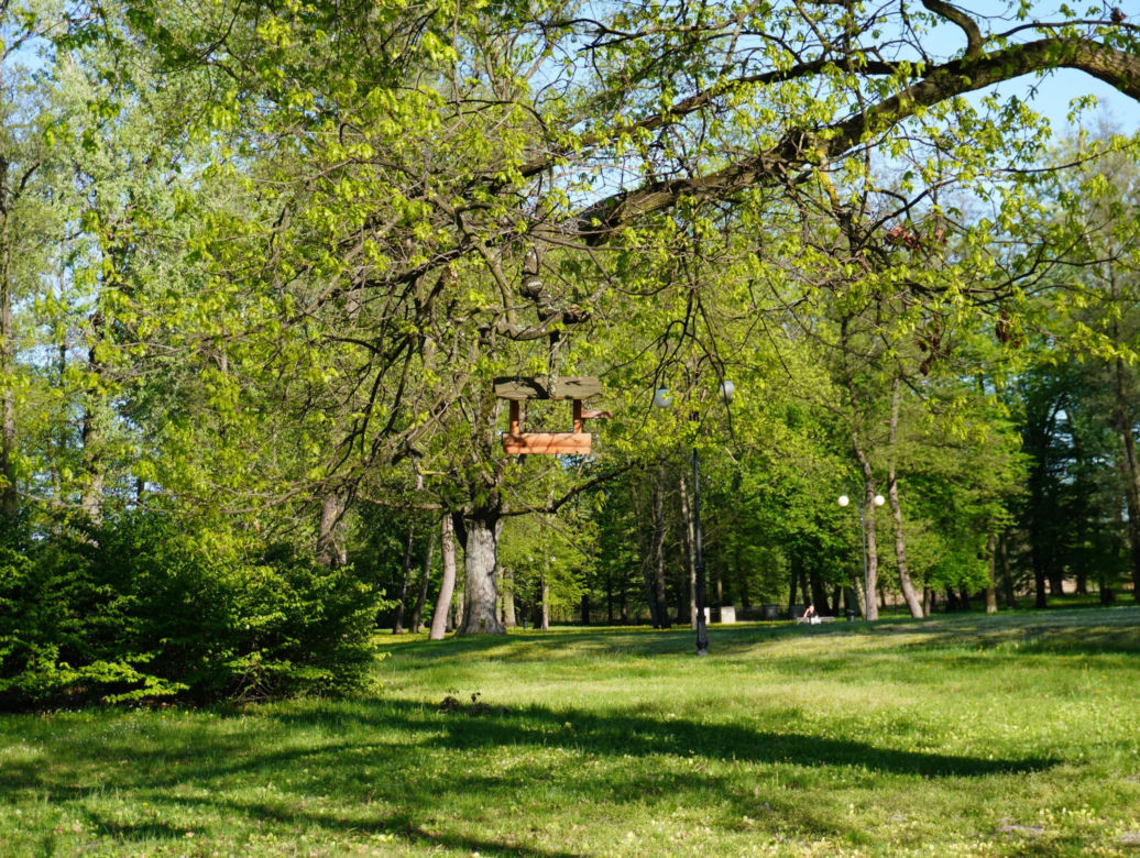 Park miejski w Opolu Lubelskim