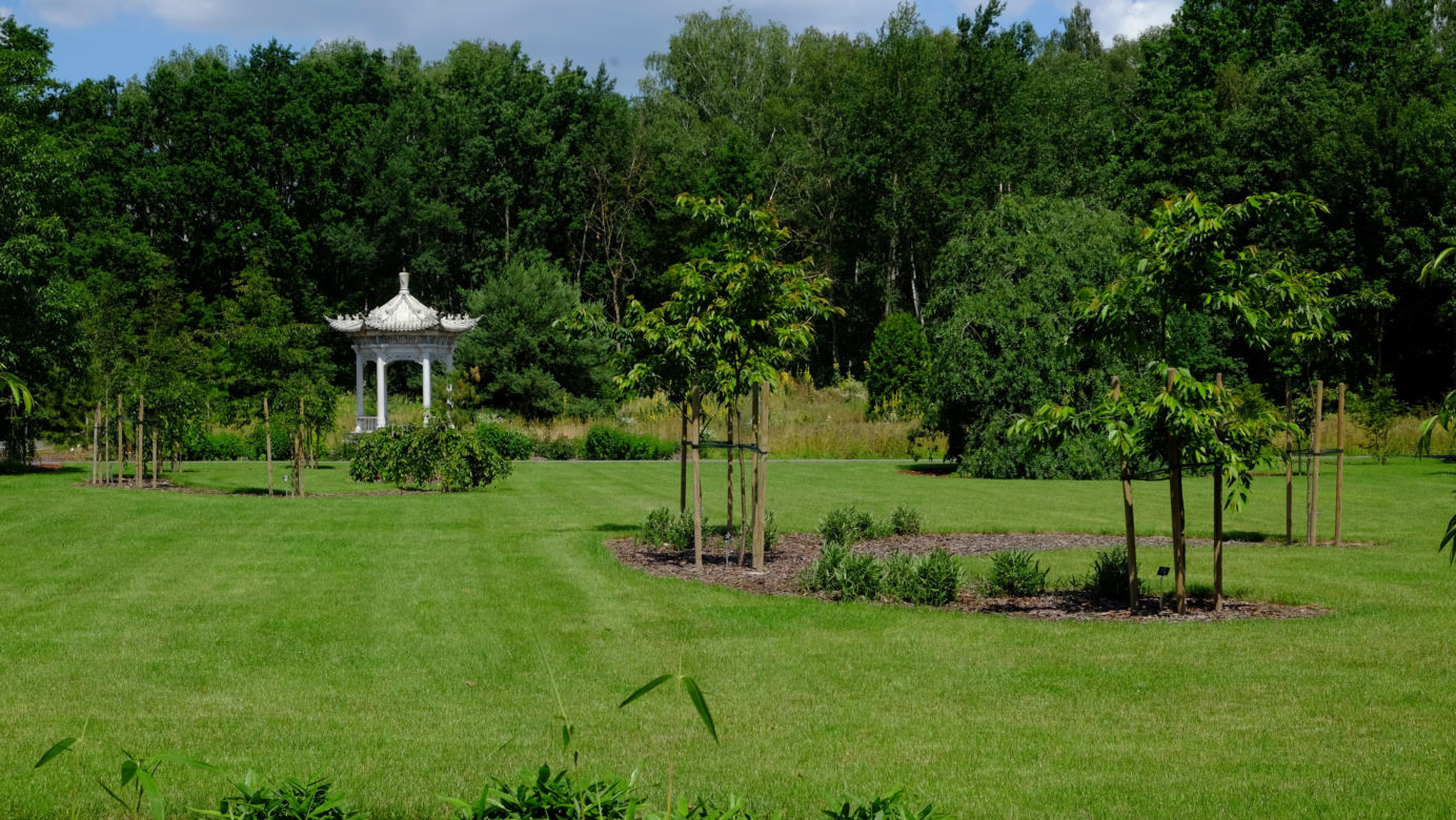 Ogród Botaniczny PAN w Powsinie