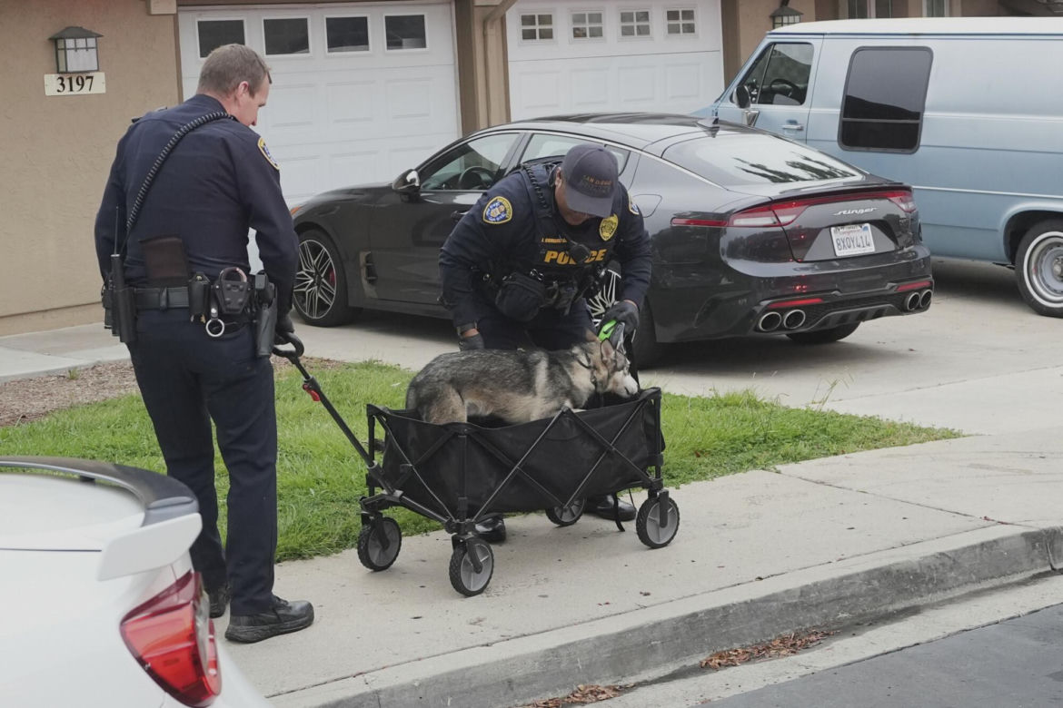 Katastrofa lotnicza w USA. W San Diego rozbił się prywatny samolot. Są ofiary śmiertelne